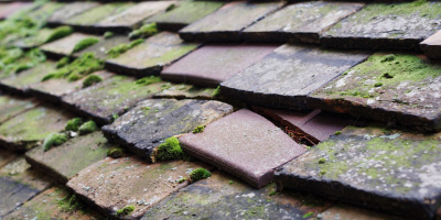 Maidenhead roof repair costs